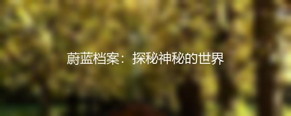 蔚蓝档案：探秘神秘的世界