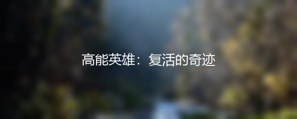 高能英雄：复活的奇迹