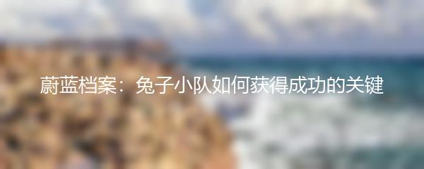 蔚蓝档案：兔子小队如何获得成功的关键