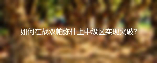 如何在战双帕弥什上中级区实现突破？