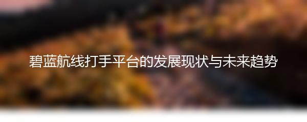 碧蓝航线打手平台的发展现状与未来趋势