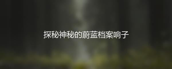 探秘神秘的蔚蓝档案响子