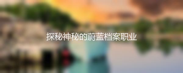 探秘神秘的蔚蓝档案职业