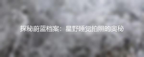 探秘蔚蓝档案：星野睡觉拍照的奥秘