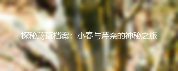 探秘蔚蓝档案：小春与芹奈的神秘之旅