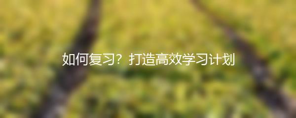 如何复习？打造高效学习计划
