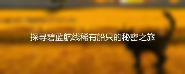 探寻碧蓝航线稀有船只的秘密之旅