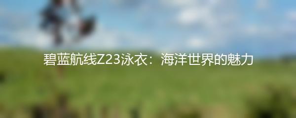 碧蓝航线Z23泳衣：海洋世界的魅力