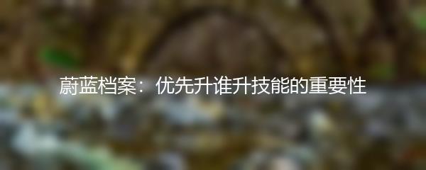 蔚蓝档案：优先升谁升技能的重要性