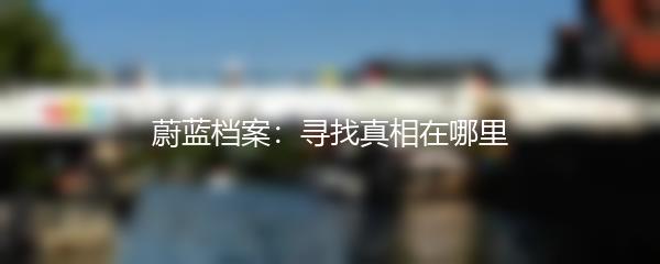 蔚蓝档案：寻找真相在哪里