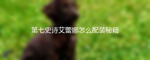 第七史诗艾蕾娜怎么配装秘籍