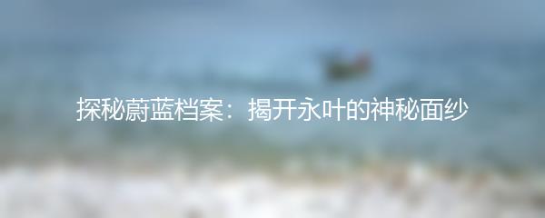 探秘蔚蓝档案：揭开永叶的神秘面纱