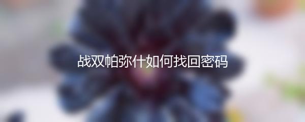 战双帕弥什如何找回密码