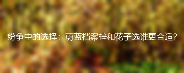 如何正确预约碧蓝航线活动？