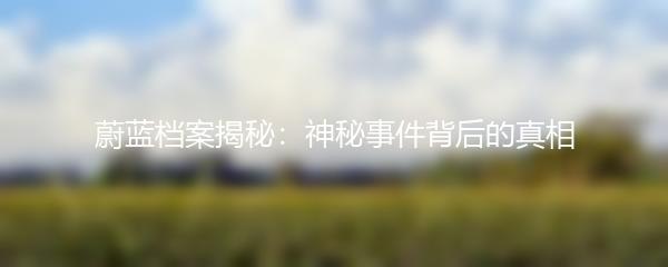 蔚蓝档案揭秘：神秘事件背后的真相