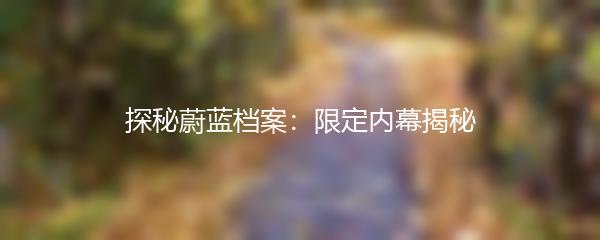 探秘蔚蓝档案：限定内幕揭秘