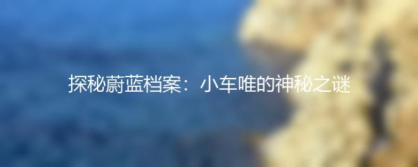 探秘蔚蓝档案：小车唯的神秘之谜