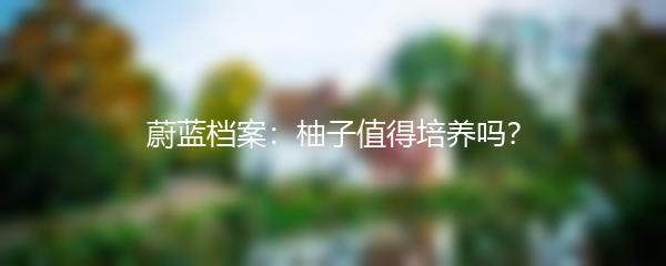 蔚蓝档案：柚子值得培养吗？