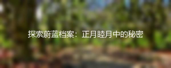 探索蔚蓝档案：正月睦月中的秘密