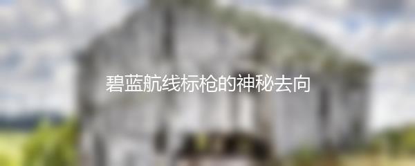 碧蓝航线标枪的神秘去向