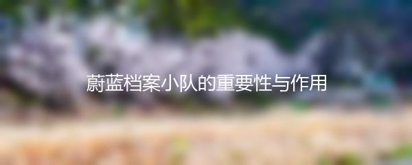 蔚蓝档案小队的重要性与作用