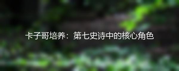 卡子哥培养：第七史诗中的核心角色