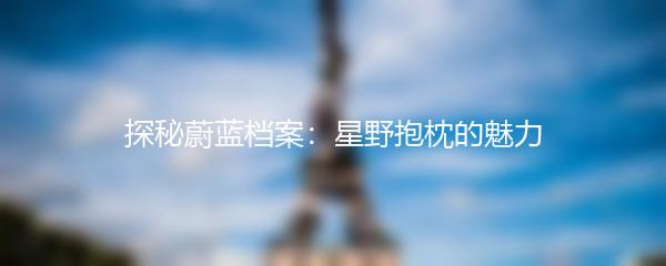 探秘蔚蓝档案：星野抱枕的魅力