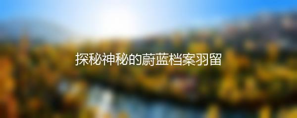 探秘神秘的蔚蓝档案羽留