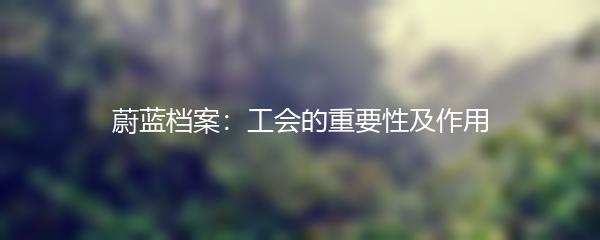 蔚蓝档案：工会的重要性及作用