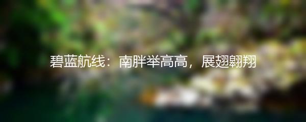 碧蓝航线：南胖举高高，展翅翱翔