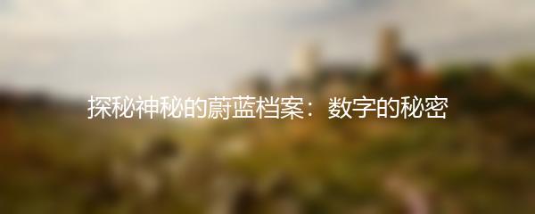 探秘神秘的蔚蓝档案：数字的秘密