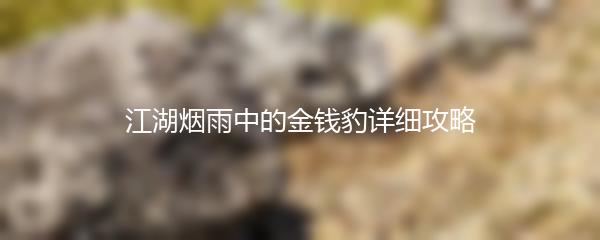 江湖烟雨中的金钱豹详细攻略