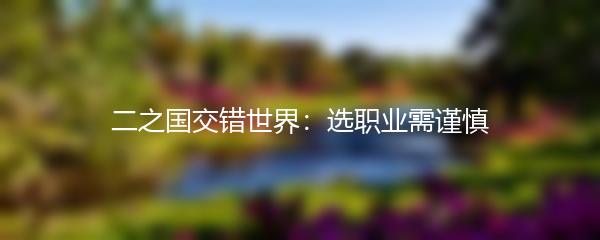 二之国交错世界：选职业需谨慎