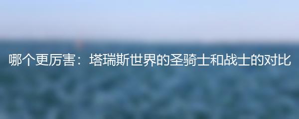 哪个更厉害：塔瑞斯世界的圣骑士和战士的对比