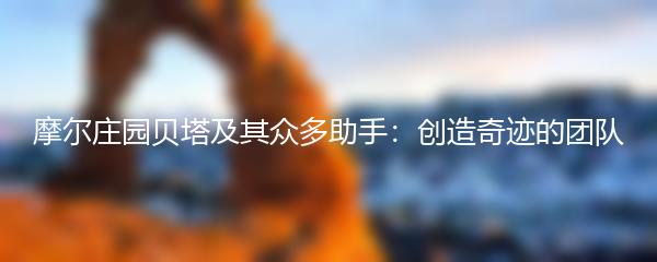 摩尔庄园贝塔及其众多助手：创造奇迹的团队