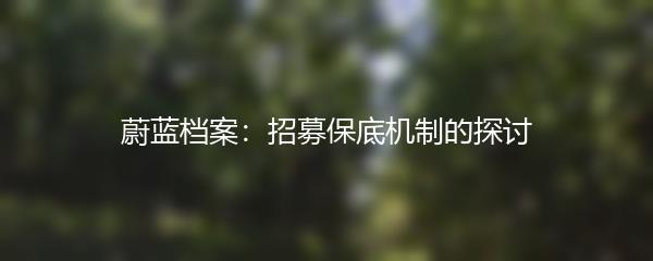 蔚蓝档案：招募保底机制的探讨