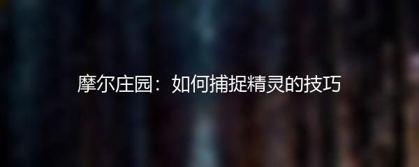 摩尔庄园：如何捕捉精灵的技巧