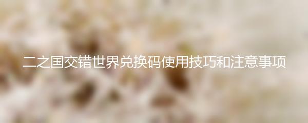 二之国交错世界兑换码使用技巧和注意事项