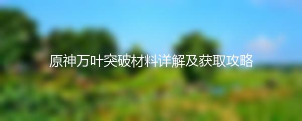 原神万叶突破材料详解及获取攻略