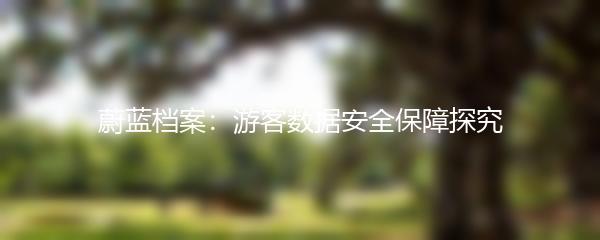 蔚蓝档案：游客数据安全保障探究