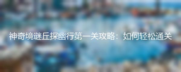 神奇境谜丘探幽行第一关攻略：如何轻松通关