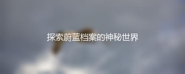 探索蔚蓝档案的神秘世界