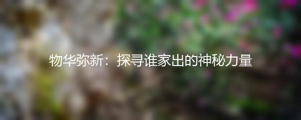 物华弥新：探寻谁家出的神秘力量