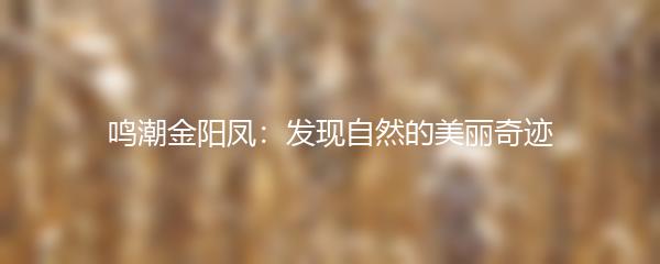 鸣潮金阳凤：发现自然的美丽奇迹