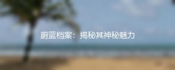 蔚蓝档案：揭秘其神秘魅力