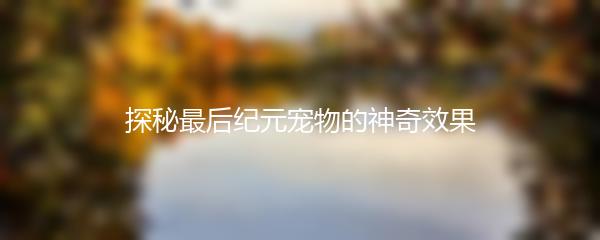 探秘最后纪元宠物的神奇效果