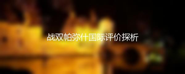 战双帕弥什国际评价探析