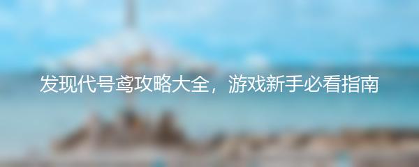 发现代号鸢攻略大全，游戏新手必看指南
