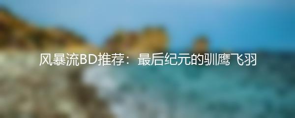 风暴流BD推荐：最后纪元的驯鹰飞羽