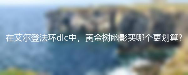 在艾尔登法环dlc中，黄金树幽影买哪个更划算？